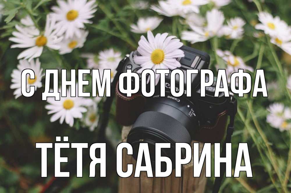 Открытка на каждый день с именем, Тётя-Сабрина С днем фотографа с днем фотографа Прикольная открытка с пожеланием онлайн скачать бесплатно 