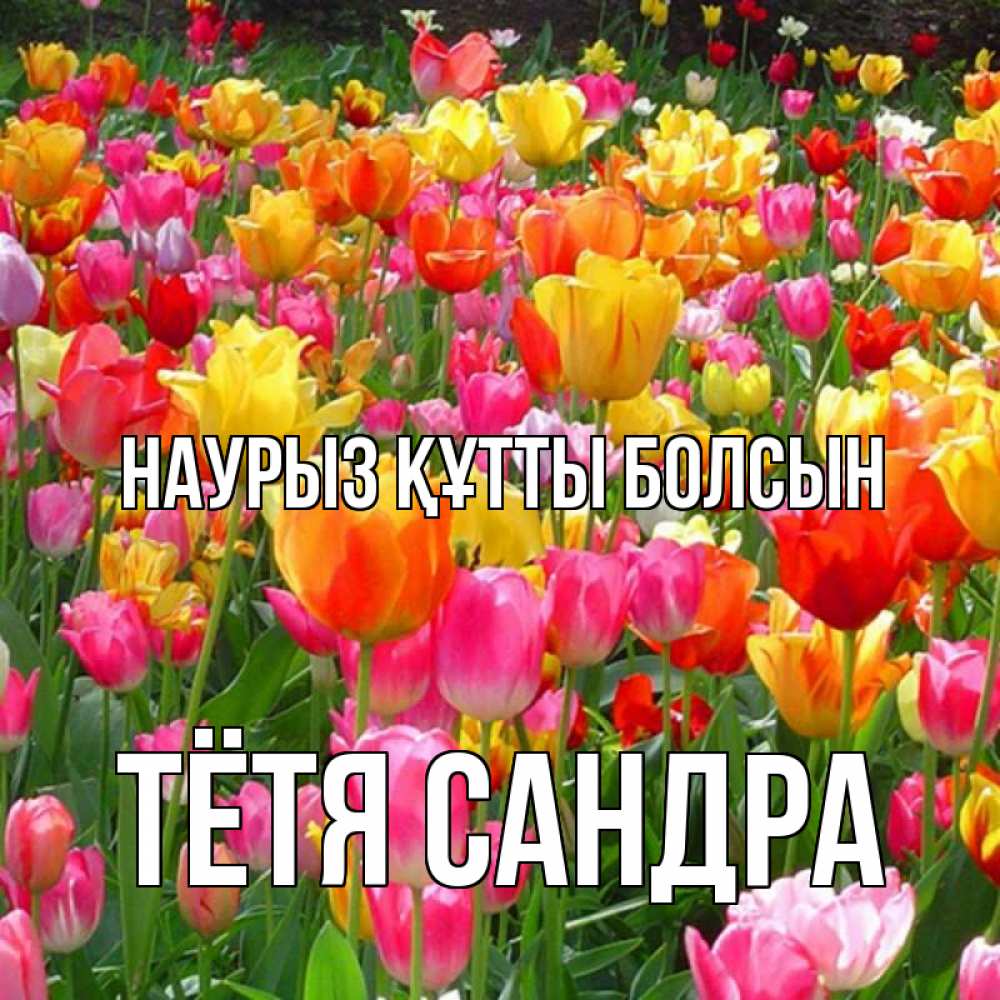 Открытка на каждый день с именем, Тётя-Сандра Наурыз құтты болсын на наурыз  ура ура Прикольная открытка с пожеланием онлайн скачать бесплатно 