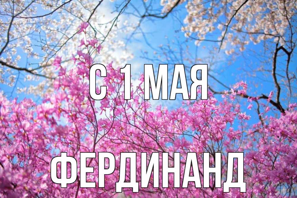 Открытка на каждый день с именем, Фердинанд С 1 мая С 1 мая Прикольная открытка с пожеланием онлайн скачать бесплатно 