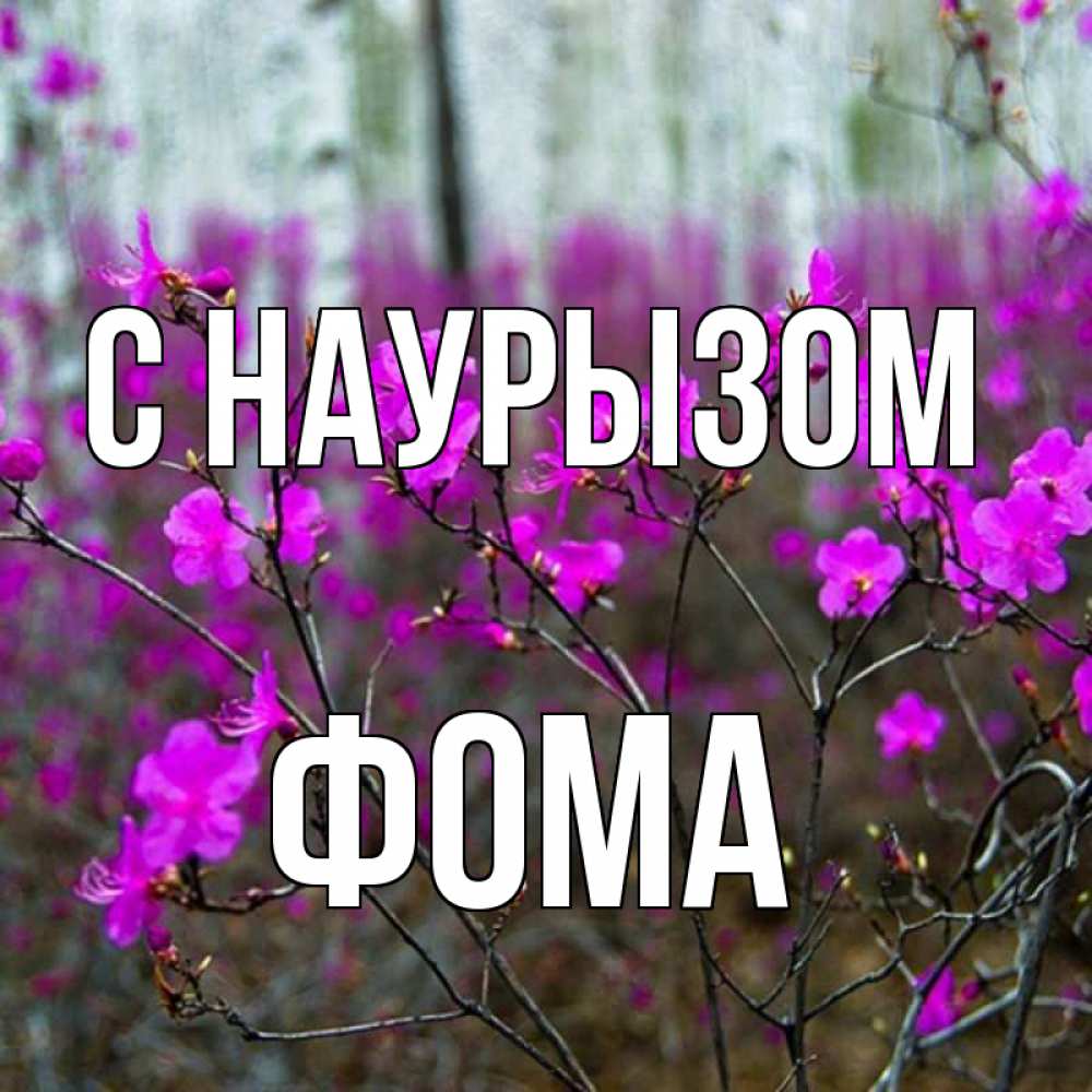 Открытка на каждый день с именем, Фома С наурызом дикие цветы Прикольная открытка с пожеланием онлайн скачать бесплатно 