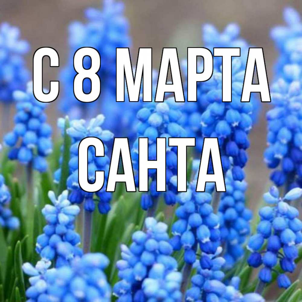 Картинка С 8 марта, Санта