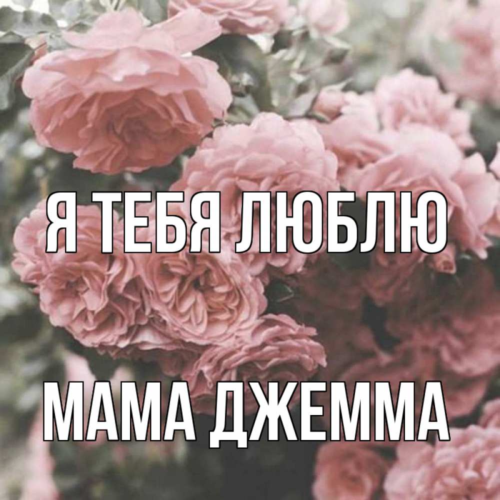 Открытка на каждый день с именем, Мама-Джемма Я тебя люблю розы 3 Прикольная открытка с пожеланием онлайн скачать бесплатно 