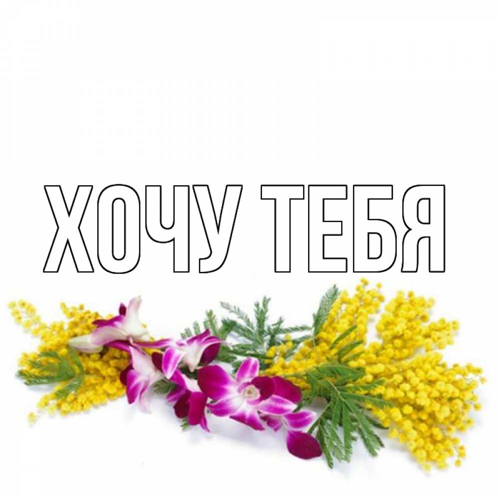 Открытка на каждый день с именем, Хочу-тебя Главная открытка на международный женский день с цветами  1 Прикольная открытка с пожеланием онлайн скачать бесплатно 