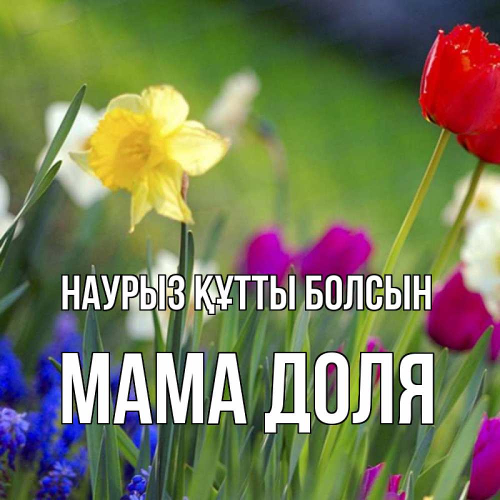 Открытка на каждый день с именем, Мама-Доля Наурыз құтты болсын наурыз  3 открытки Прикольная открытка с пожеланием онлайн скачать бесплатно 