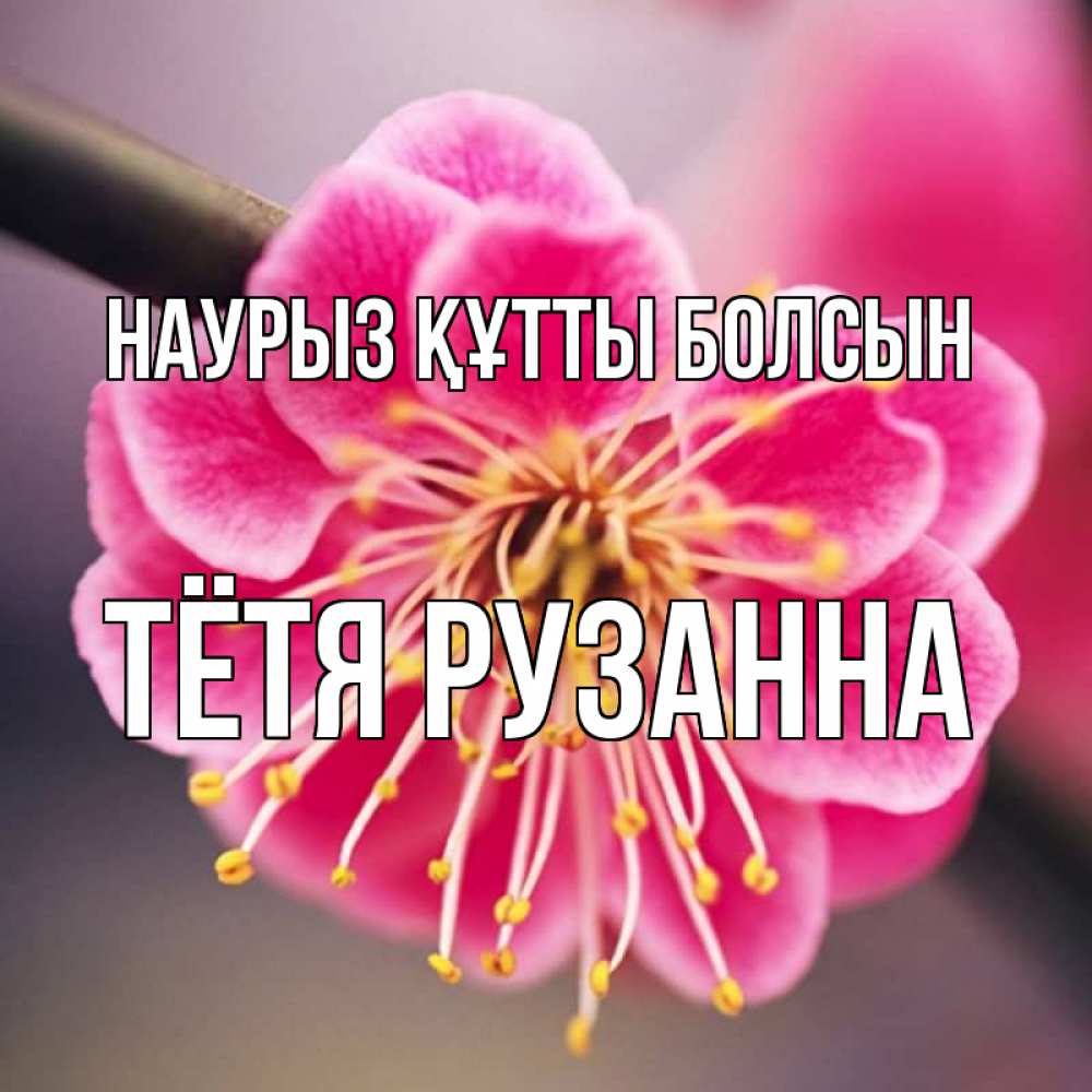Открытка на каждый день с именем, Тётя-Рузанна Наурыз құтты болсын цветы Прикольная открытка с пожеланием онлайн скачать бесплатно 