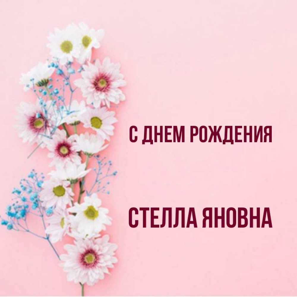 С днем рождения стелла