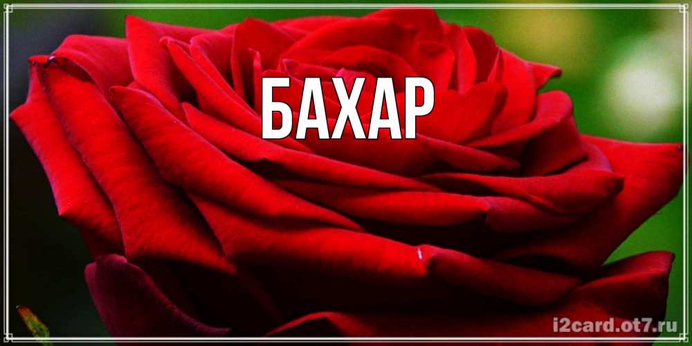 Картинка  с именем , Бахар