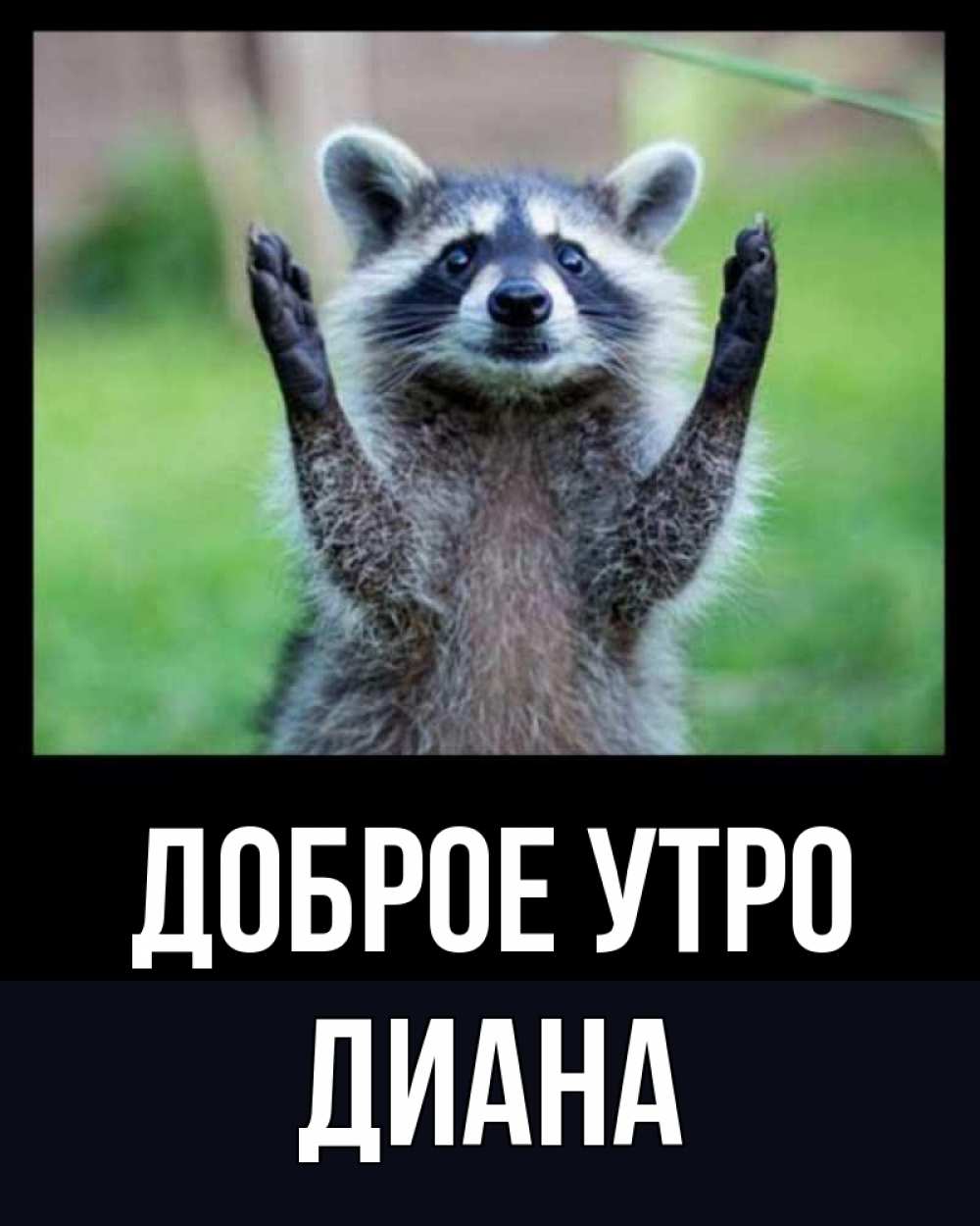 Открытка на каждый день с именем, Диана Доброе утро хорошее настроение утречком Прикольная открытка с пожеланием онлайн скачать бесплатно 