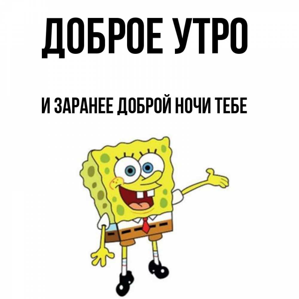 Заранее доброе утро. Заранее доброе утро