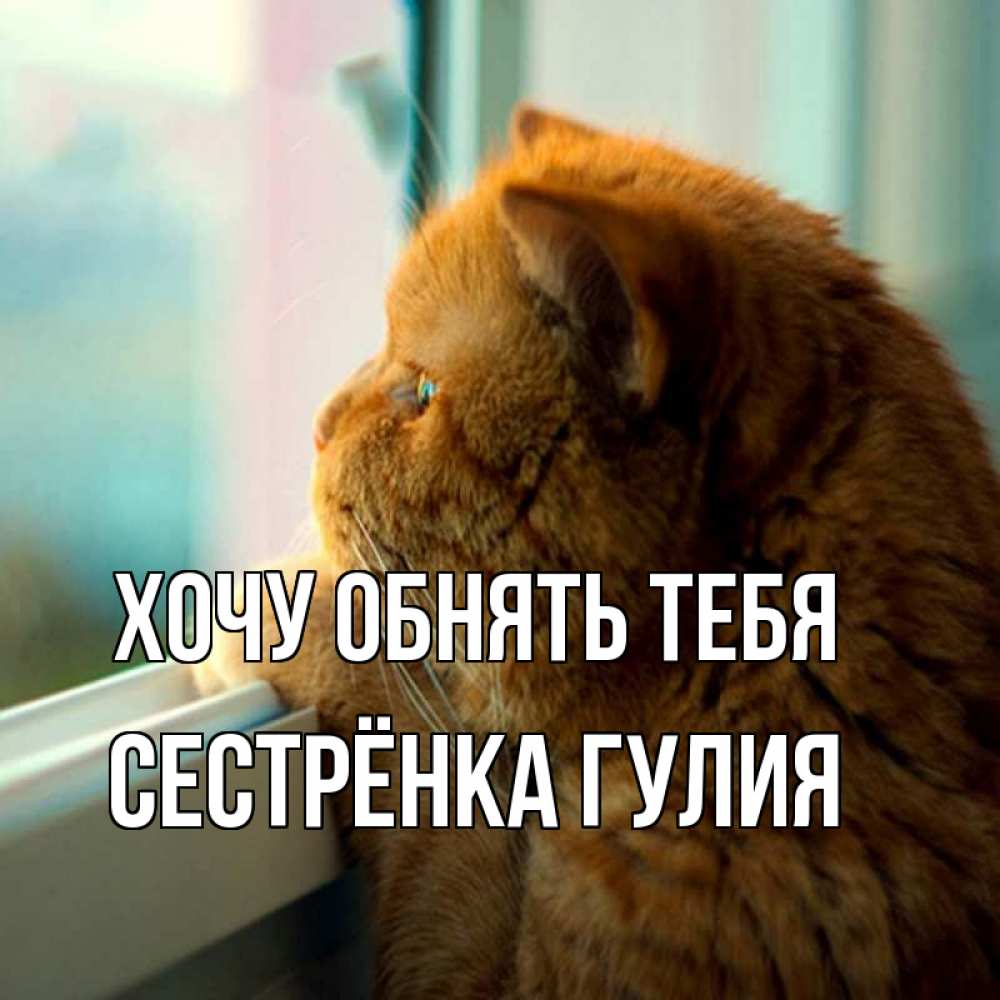 Открытка на каждый день с именем, Сестрёнка-Гулия Хочу обнять тебя большой огромный рыжий котяра Прикольная открытка с пожеланием онлайн скачать бесплатно 