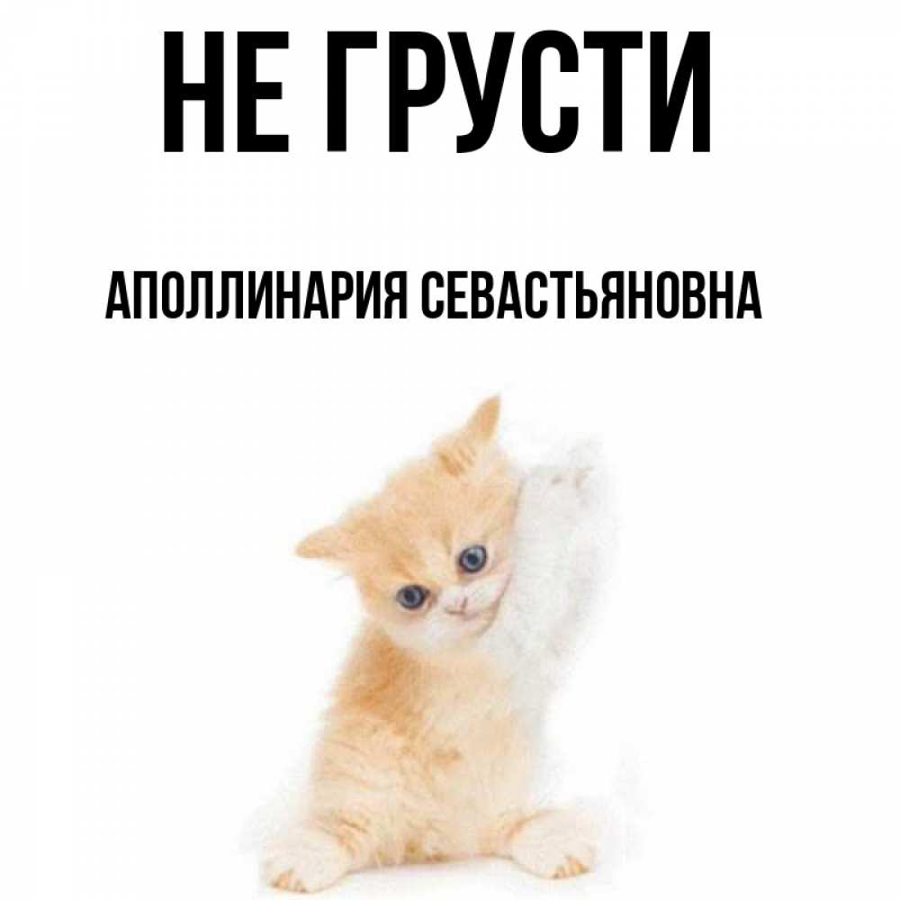 Не грусти милая моя. Не грусти милый