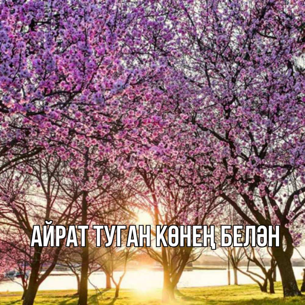 Открытка на каждый день с именем, Айрат-туган-көнең-белән Главная международный женский день Прикольная открытка с пожеланием онлайн скачать бесплатно 