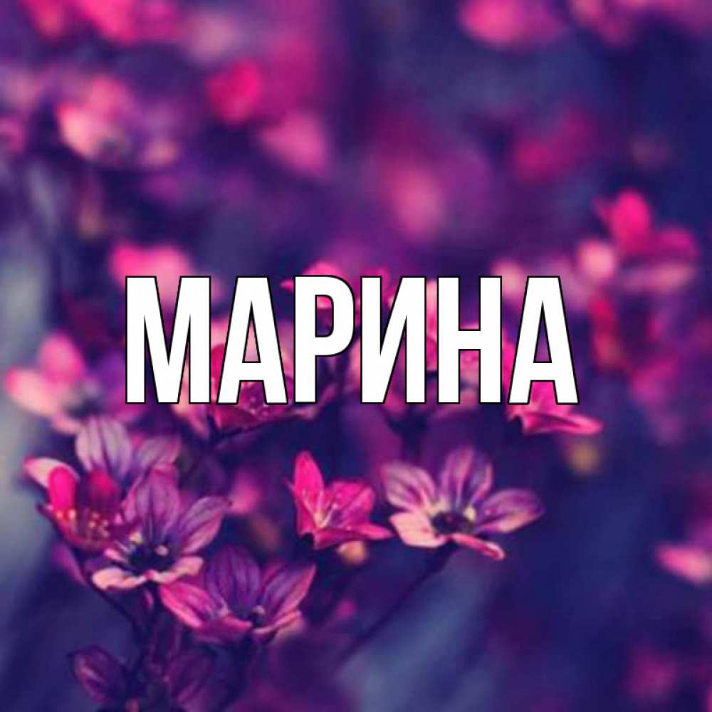 Открытка на каждый день с именем, Марина Главная небольшие цветы 1 Прикольная открытка с пожеланием онлайн скачать бесплатно 