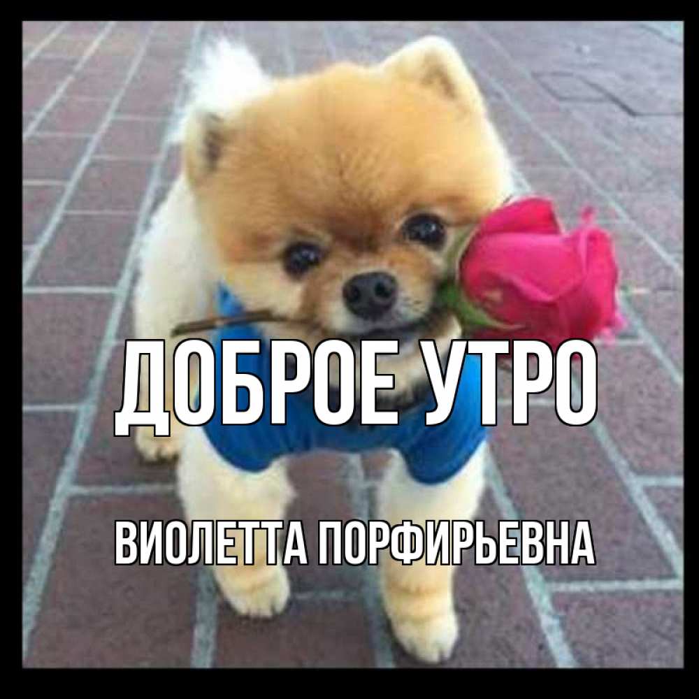 Картинка Доброе утро, Виолетта Порфирьевна