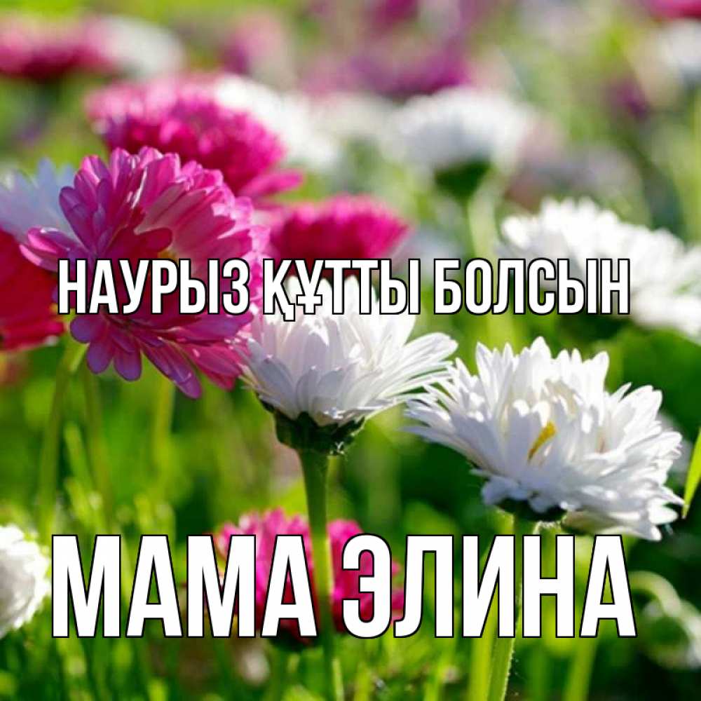 Открытка на каждый день с именем, Мама-Элина Наурыз құтты болсын наурыз Прикольная открытка с пожеланием онлайн скачать бесплатно 
