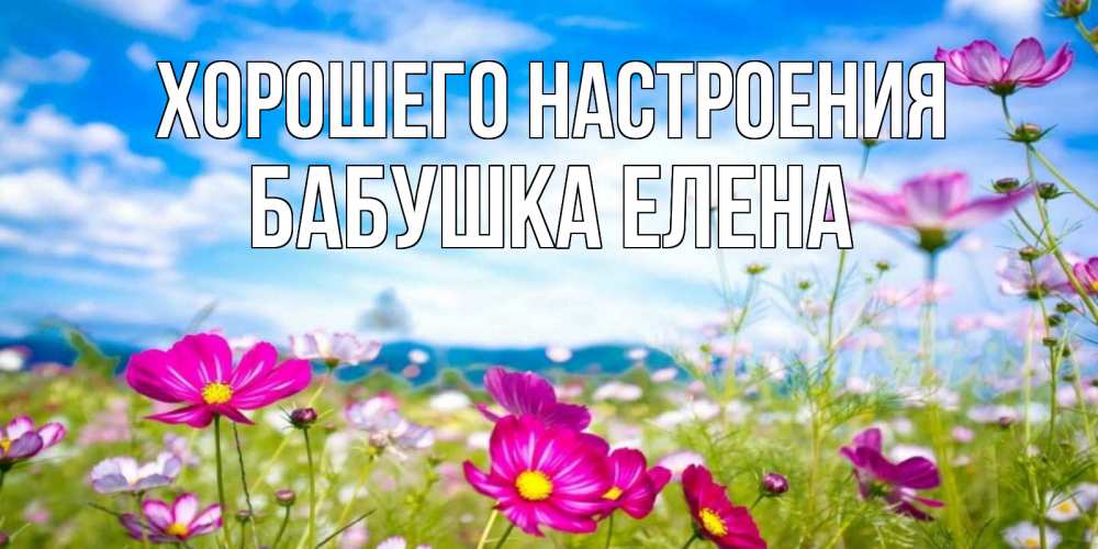 Открытка на каждый день с именем, Бабушка-Елена Хорошего настроения поле цветов Прикольная открытка с пожеланием онлайн скачать бесплатно 