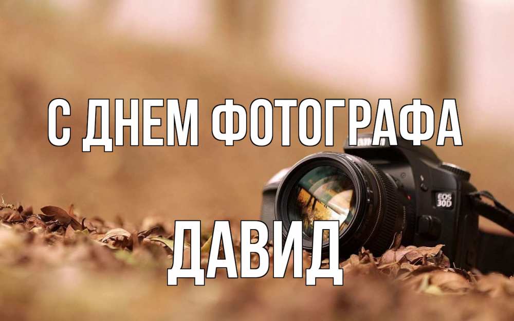 Открытка на каждый день с именем, Давид С днем фотографа с днем фотографа Прикольная открытка с пожеланием онлайн скачать бесплатно 