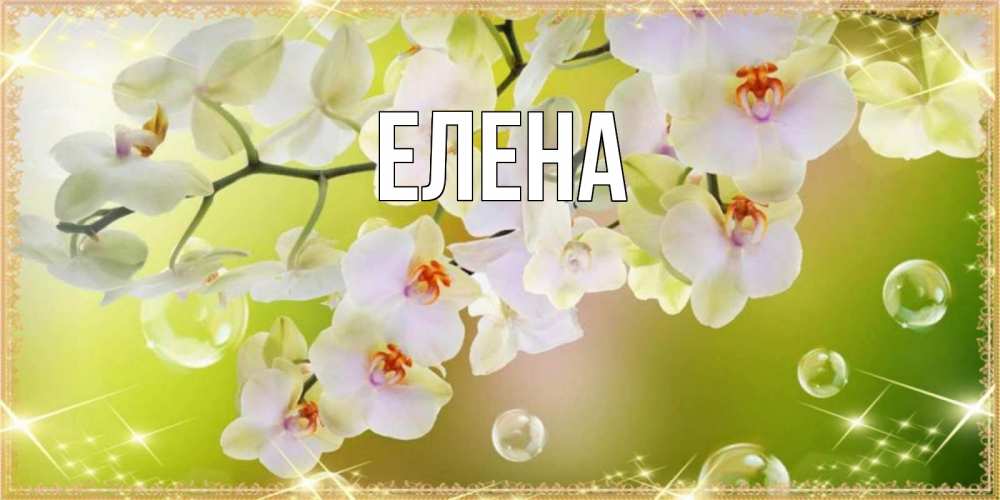 Открытка на каждый день с именем, Елена Главная открытка с цветами на международный женский день Прикольная открытка с пожеланием онлайн скачать бесплатно 