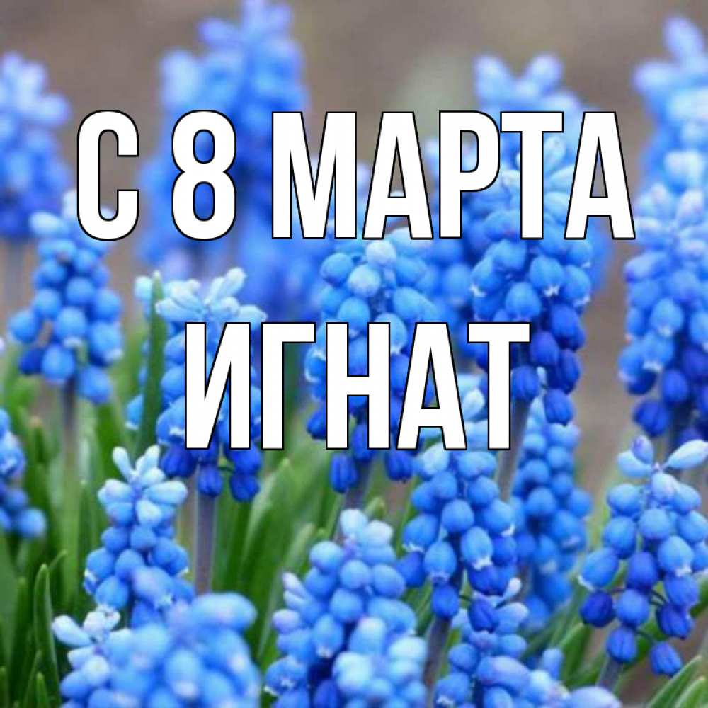 Открытка на каждый день с именем, Игнат С 8 МАРТА Поздравительная открытка для женщин с цветами на праздничную дату Прикольная открытка с пожеланием онлайн скачать бесплатно 