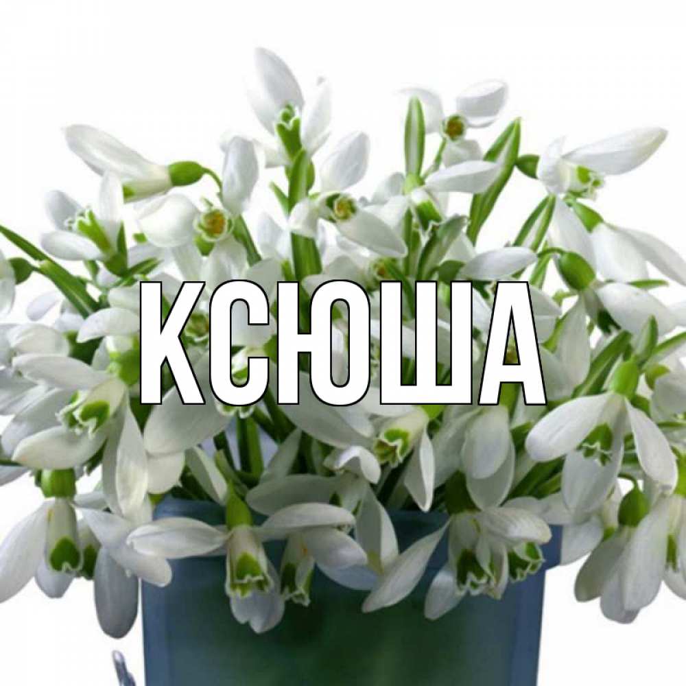 Открытка на каждый день с именем, Ксюша Главная цветы к международному женскому дню Прикольная открытка с пожеланием онлайн скачать бесплатно 