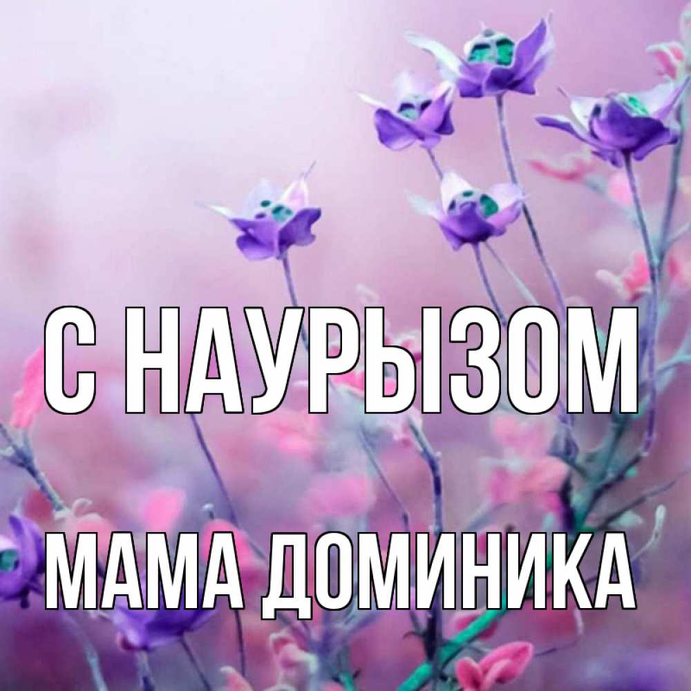 Открытка на каждый день с именем, Мама-Доминика С наурызом международный женский день 2 Прикольная открытка с пожеланием онлайн скачать бесплатно 