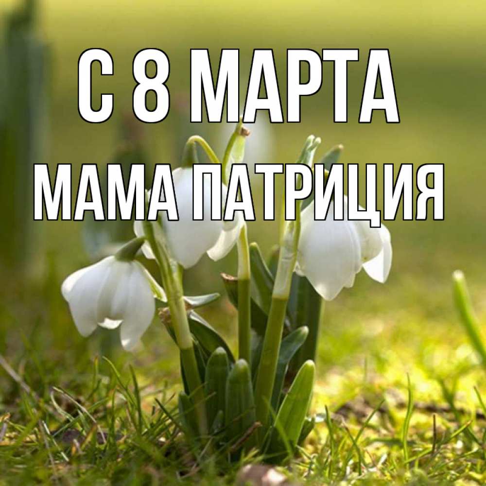 Открытка на каждый день с именем, Мама-Патриция С 8 МАРТА ранние цветы 2 Прикольная открытка с пожеланием онлайн скачать бесплатно 