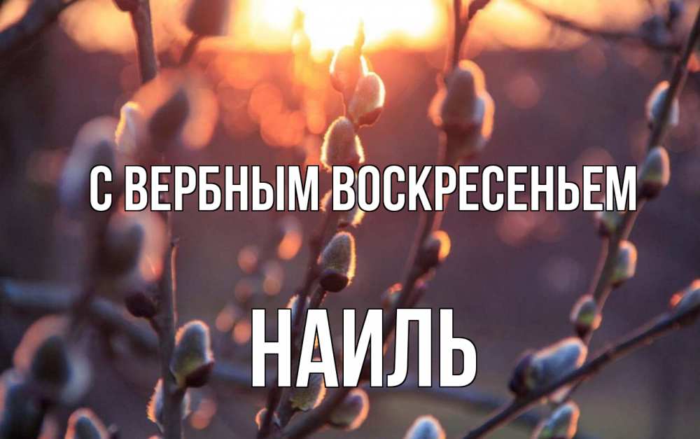 Открытка на каждый день с именем, Наиль С вербным воскресеньем верба Прикольная открытка с пожеланием онлайн скачать бесплатно 