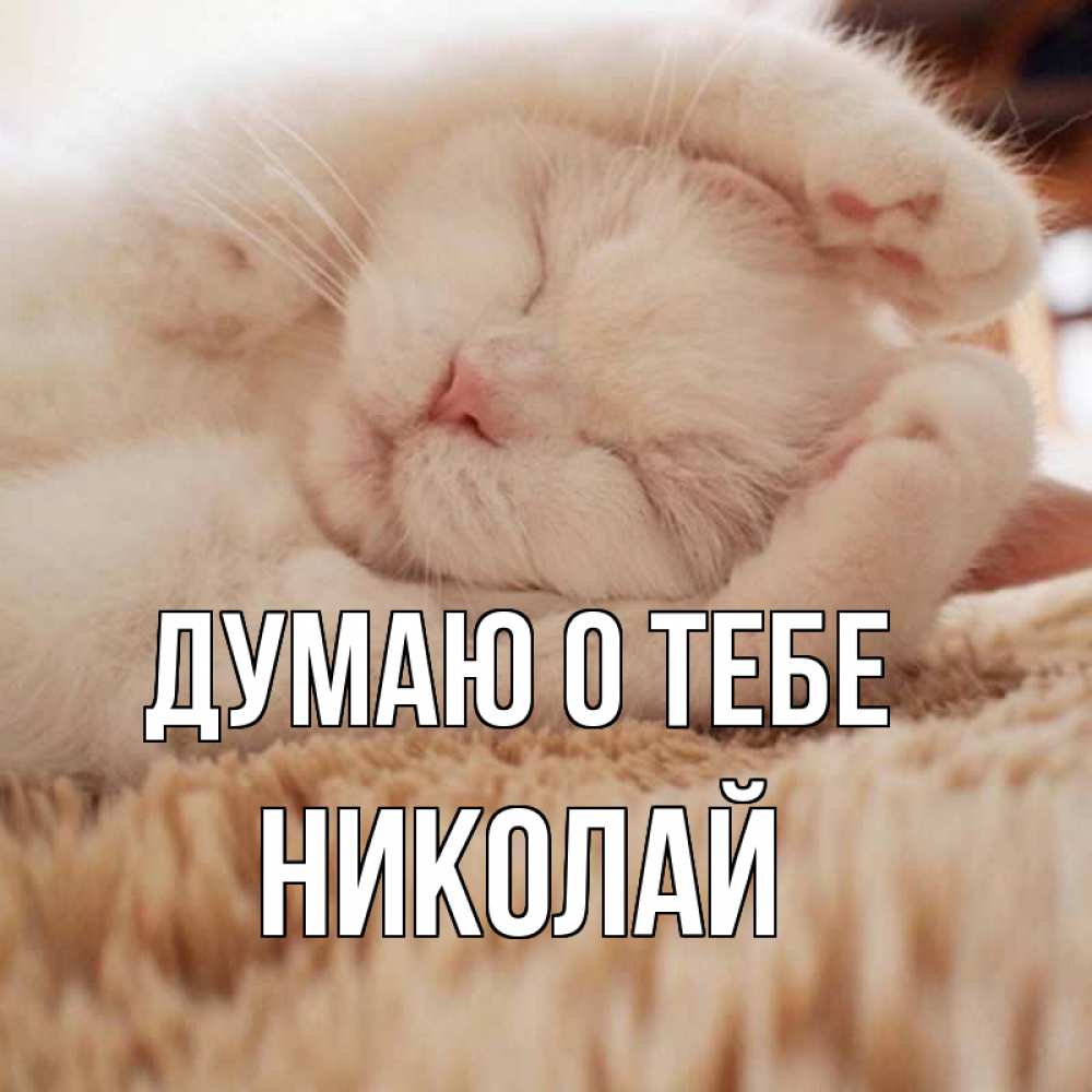 Открытка на каждый день с именем, Николай Думаю о тебе для любимой девушки милота Прикольная открытка с пожеланием онлайн скачать бесплатно 