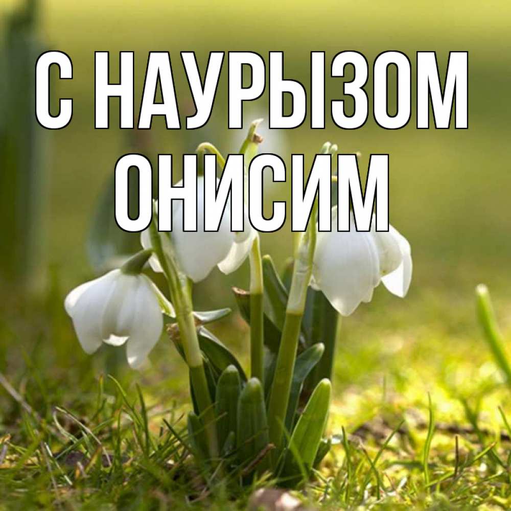 Открытка на каждый день с именем, Онисим С наурызом ранние цветы 2 Прикольная открытка с пожеланием онлайн скачать бесплатно 