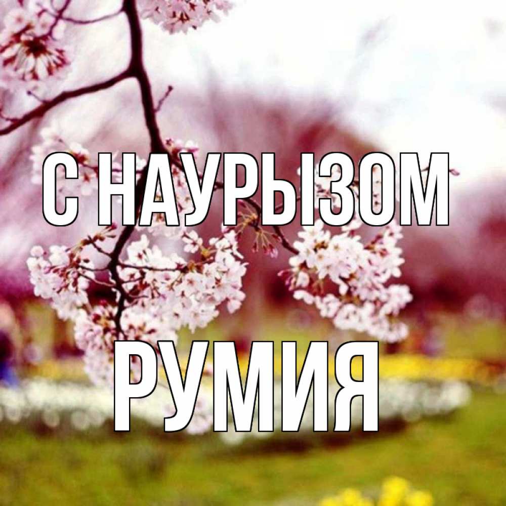 Открытка на каждый день с именем, Румия С наурызом яблоня Прикольная открытка с пожеланием онлайн скачать бесплатно 