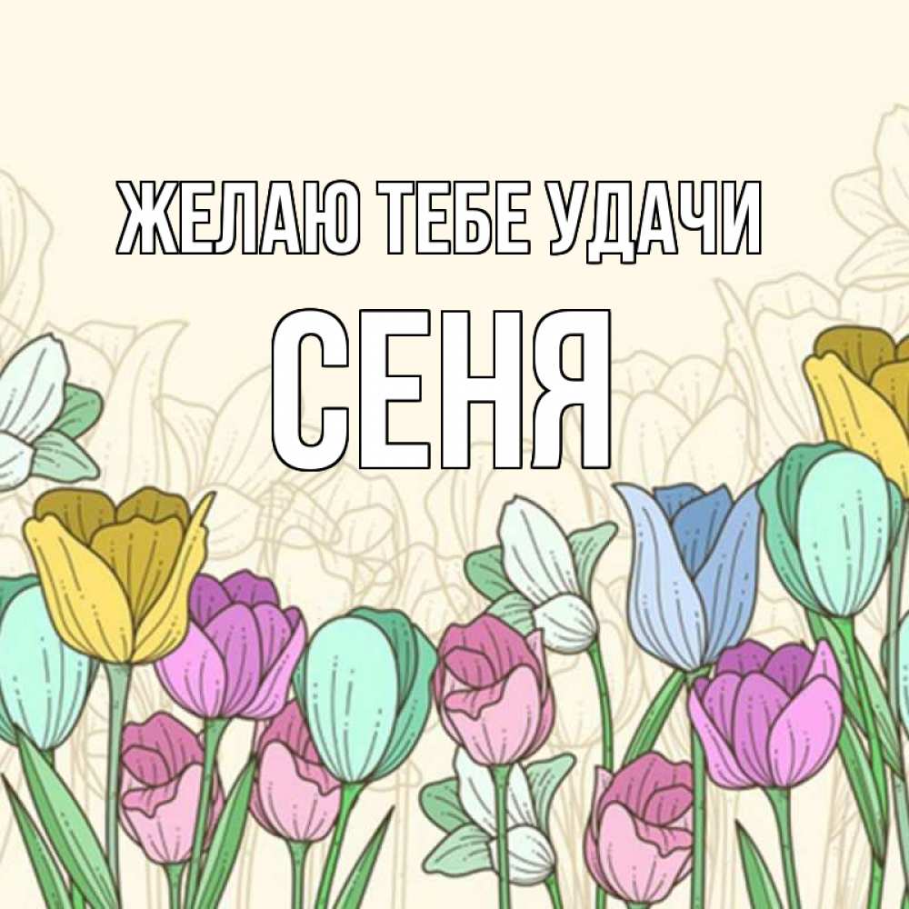 Открытка на каждый день с именем, Сеня Желаю тебе удачи тюльпаны Прикольная открытка с пожеланием онлайн скачать бесплатно 