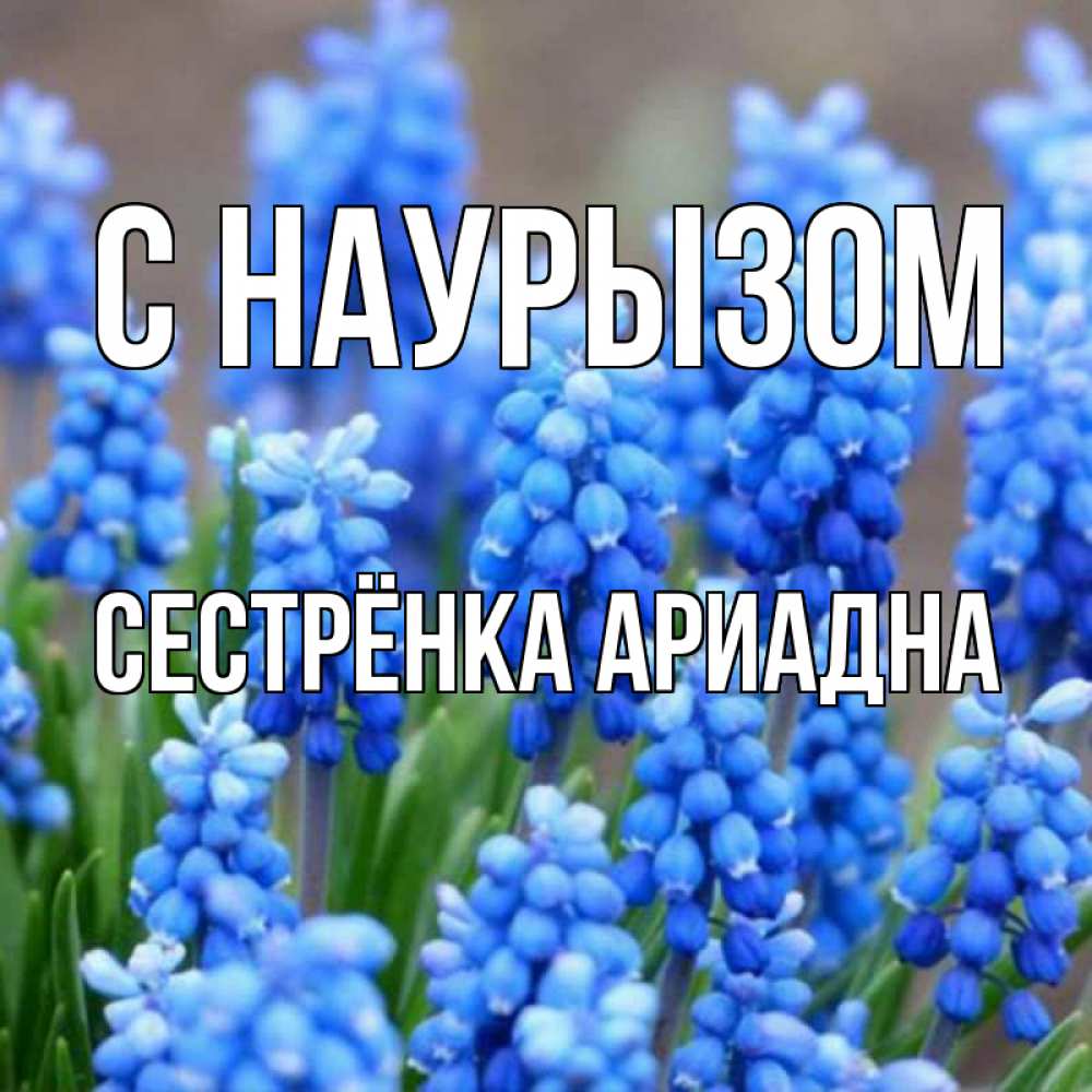 Открытка на каждый день с именем, Сестрёнка-Ариадна С наурызом Поздравительная открытка для женщин с цветами на праздничную дату Прикольная открытка с пожеланием онлайн скачать бесплатно 