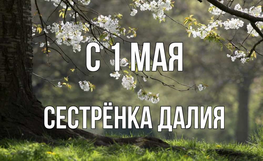 Открытка на каждый день с именем, Сестрёнка-Далия С 1 мая С 1 мая Прикольная открытка с пожеланием онлайн скачать бесплатно 