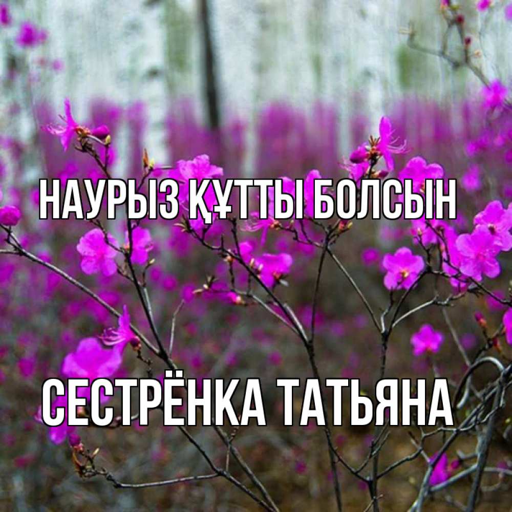 Открытка на каждый день с именем, Сестрёнка-Татьяна Наурыз құтты болсын дикие цветы Прикольная открытка с пожеланием онлайн скачать бесплатно 