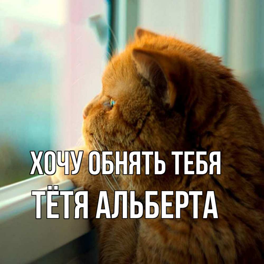 Открытка на каждый день с именем, Тётя-Альберта Хочу обнять тебя большой огромный рыжий котяра Прикольная открытка с пожеланием онлайн скачать бесплатно 