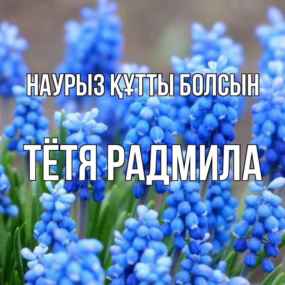Открытка на каждый день с именем, Тётя-Радмила Наурыз құтты болсын Поздравительная открытка для женщин с цветами на праздничную дату Прикольная открытка с пожеланием онлайн скачать бесплатно 