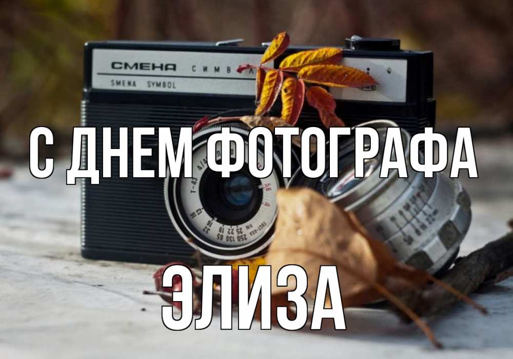 Открытка на каждый день с именем, Элиза С днем фотографа с днем фотографа Прикольная открытка с пожеланием онлайн скачать бесплатно 