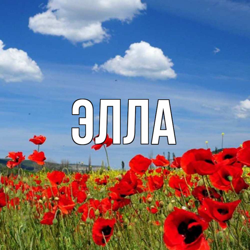 Открытка на каждый день с именем, Элла Главная наурыз  день 1 Прикольная открытка с пожеланием онлайн скачать бесплатно 