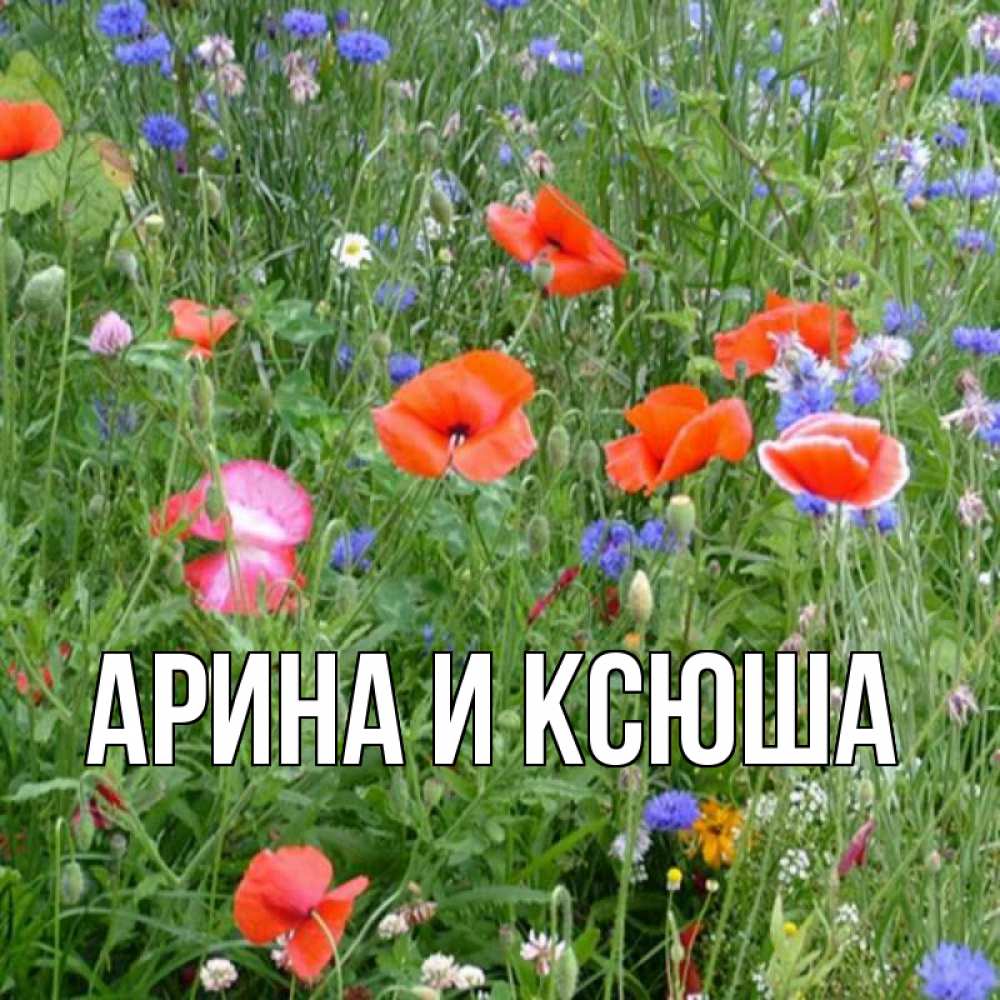 Открытка на каждый день с именем, Арина-и-Ксюша Главная международный женский день 4 Прикольная открытка с пожеланием онлайн скачать бесплатно 