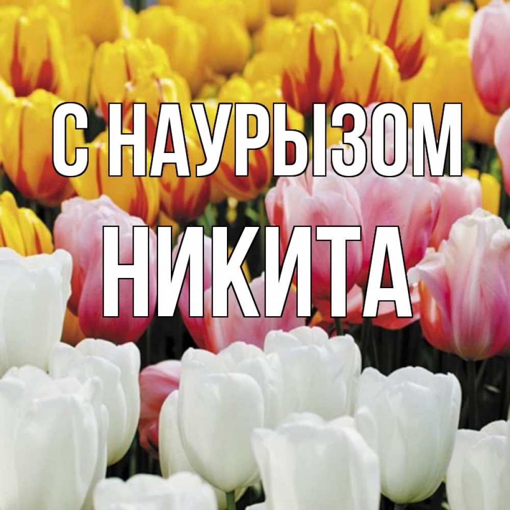 Открытка на каждый день с именем, Никита С наурызом разноцветные цветы Прикольная открытка с пожеланием онлайн скачать бесплатно 
