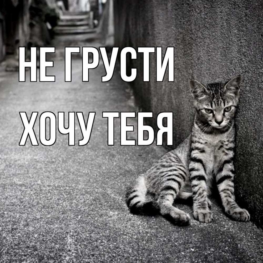 Картинка Не грусти, Хочу тебя