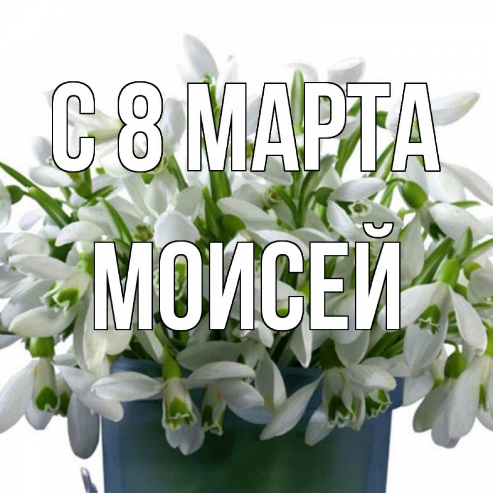 Картинка С 8 марта, Моисей