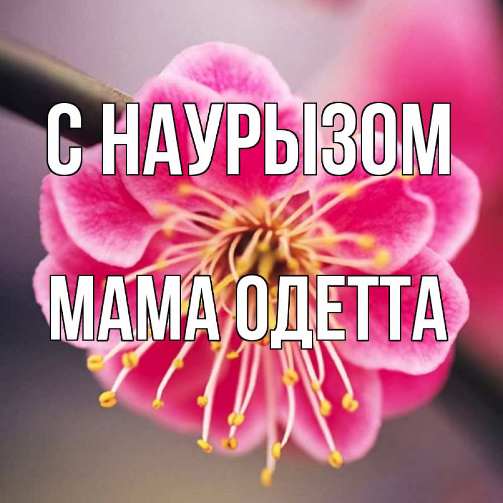 Открытка на каждый день с именем, Мама-Одетта С наурызом цветы Прикольная открытка с пожеланием онлайн скачать бесплатно 