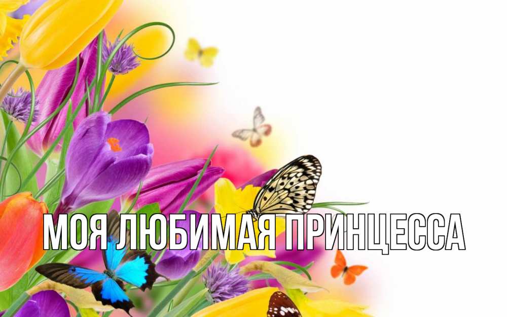 Открытка на каждый день с именем, Моя-Любимая-Принцесса Главная С 1 мая Прикольная открытка с пожеланием онлайн скачать бесплатно 