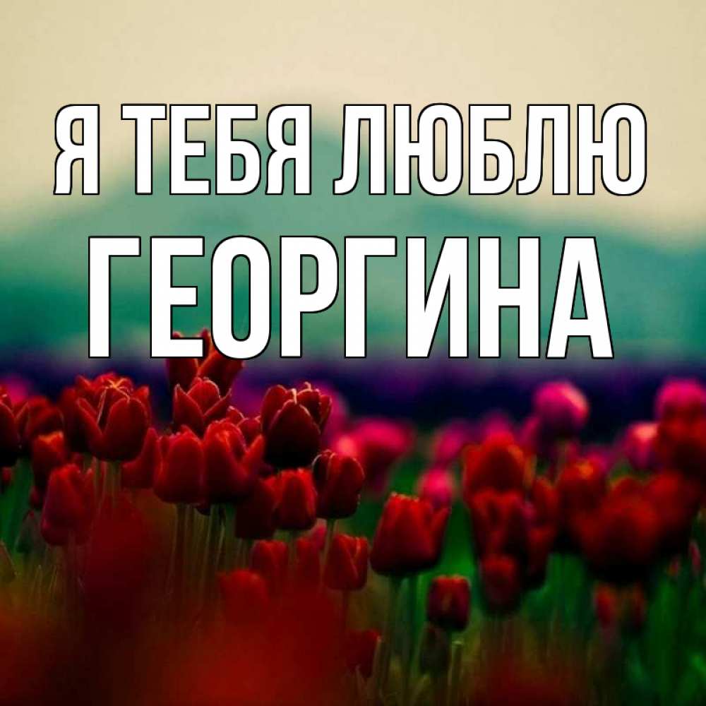 Открытка на каждый день с именем, Георгина Я тебя люблю тюльпаны 4 Прикольная открытка с пожеланием онлайн скачать бесплатно 