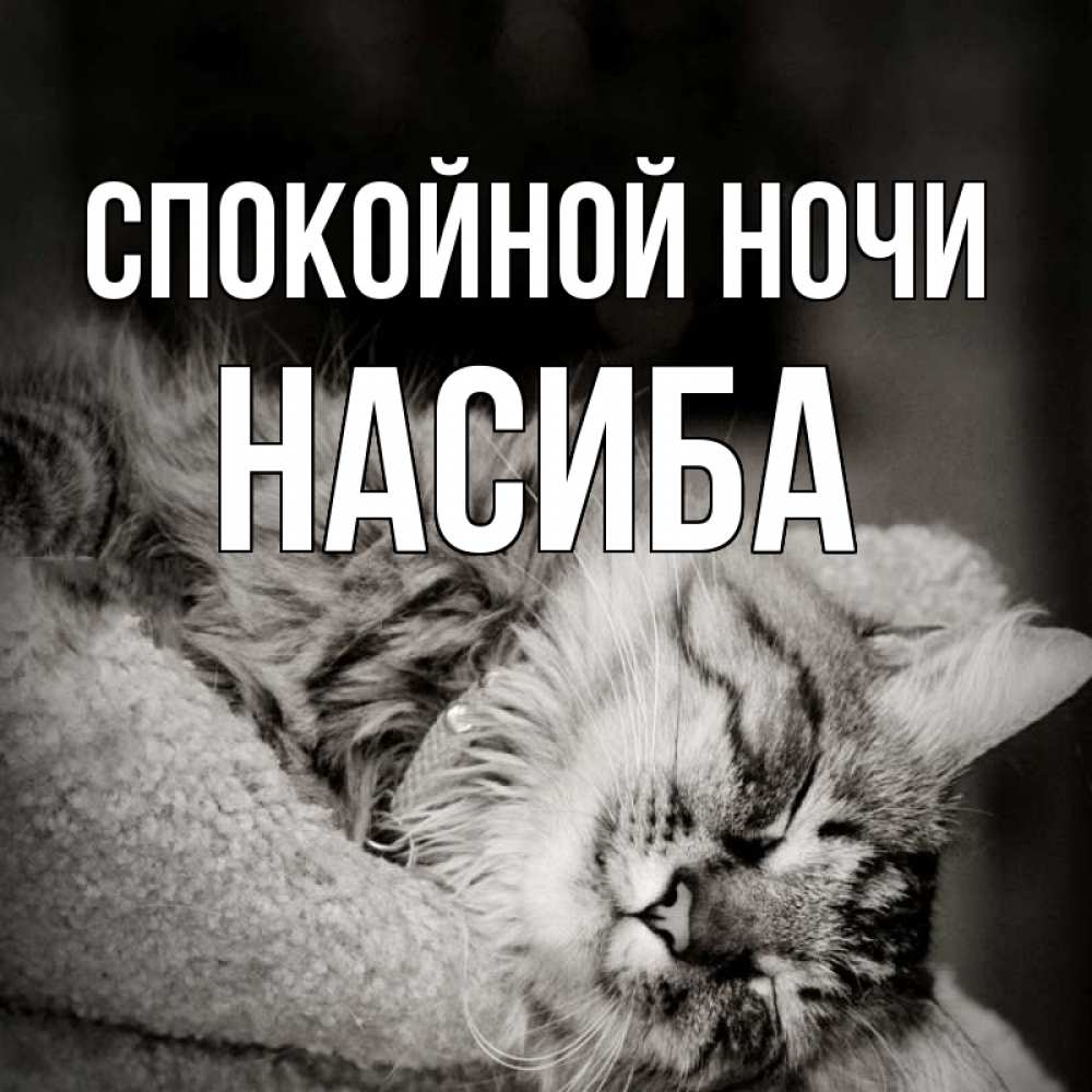 Картинка Спокойной ночи, Насиба