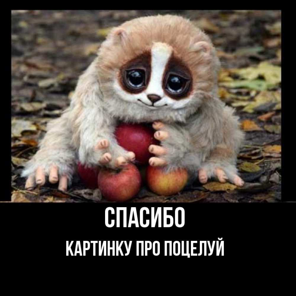 Открытка на каждый день с именем, картинку-про-поцелуй Спасибо прикольное животное Прикольная открытка с пожеланием онлайн скачать бесплатно 