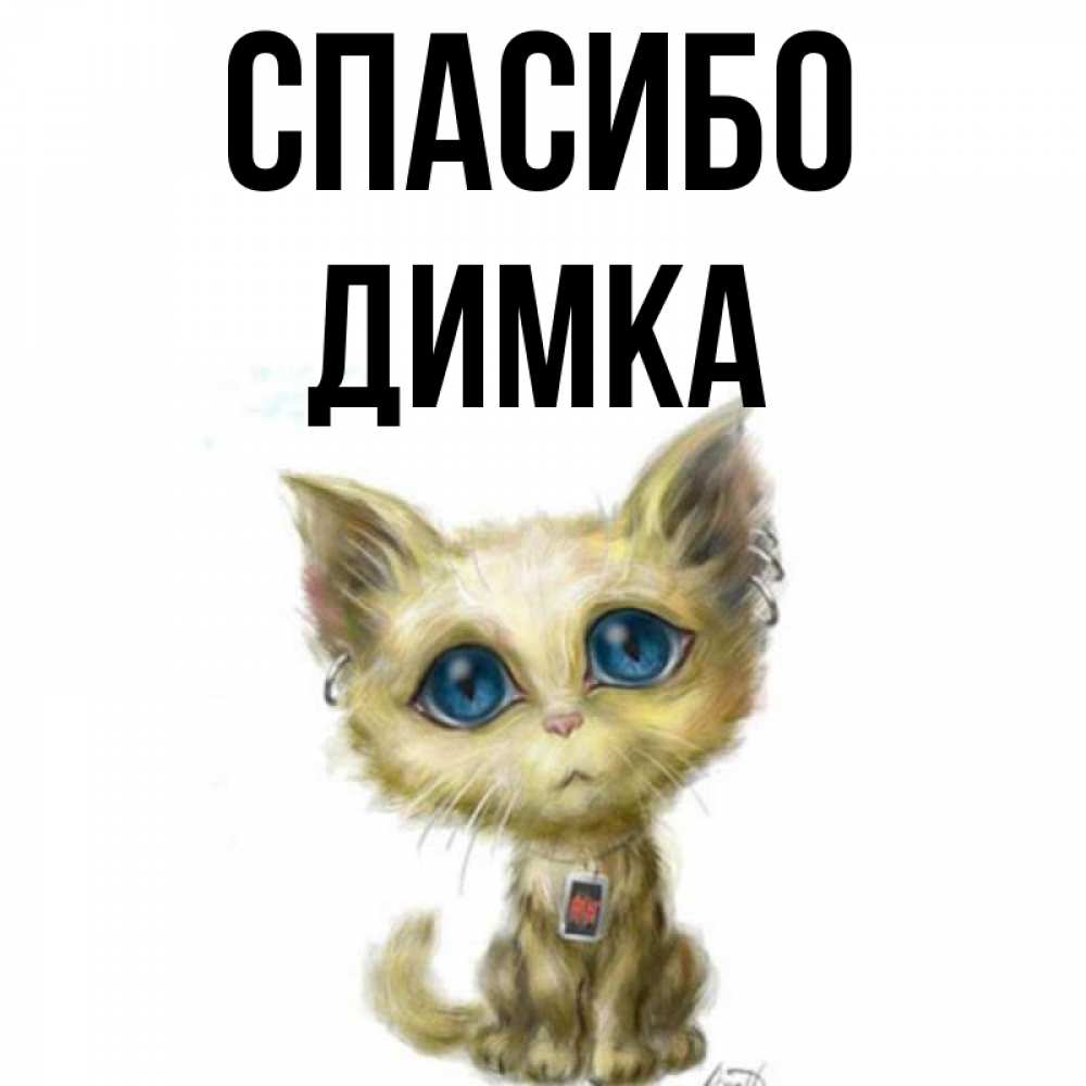 Димка как картинка