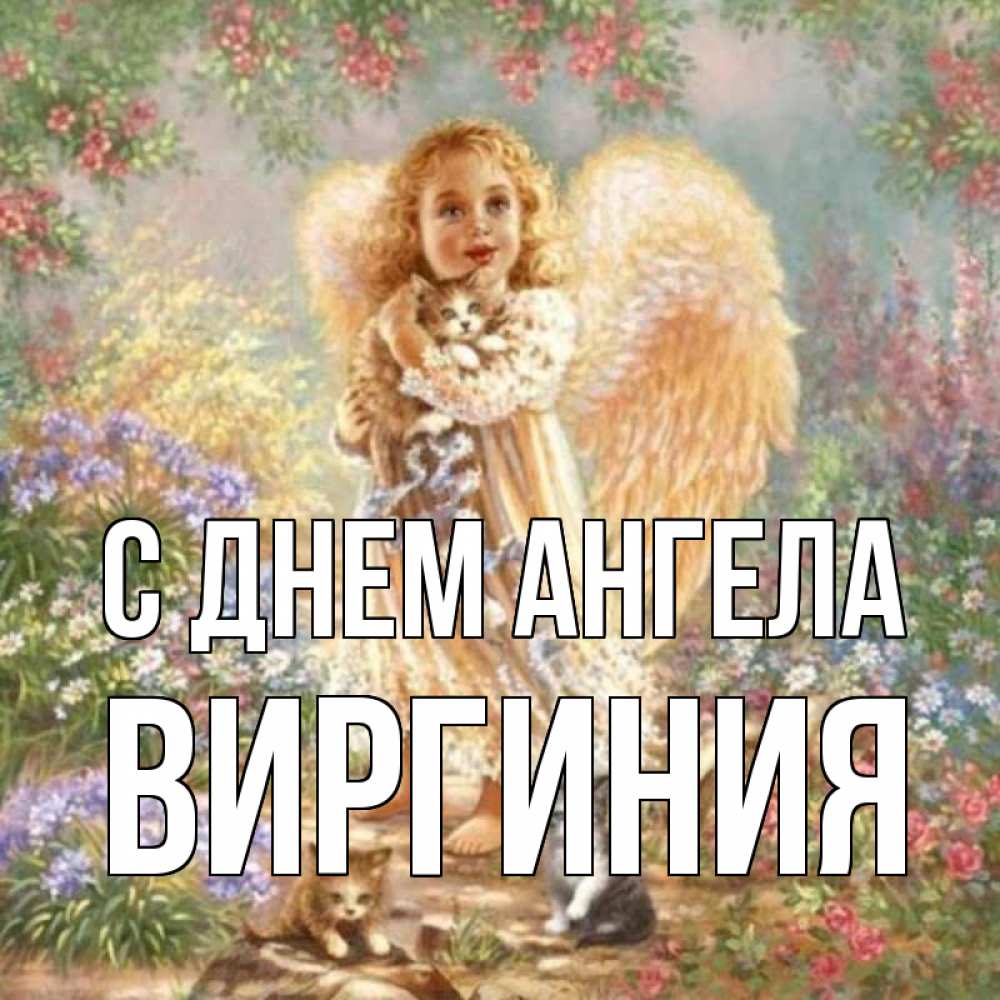 Открытка на каждый день с именем, Виргиния С днем ангела держит котенка Прикольная открытка с пожеланием онлайн скачать бесплатно 
