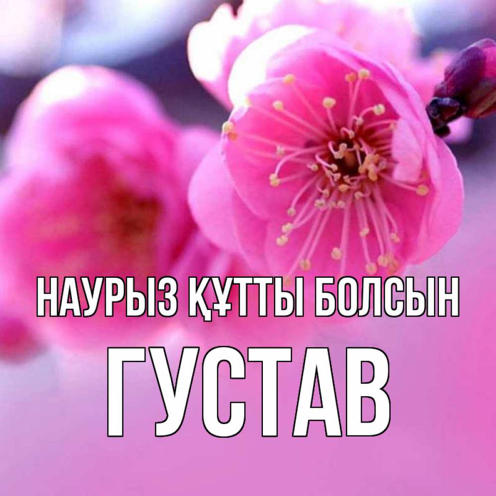 Открытка на каждый день с именем, Густав Наурыз құтты болсын наурыз мейрам Прикольная открытка с пожеланием онлайн скачать бесплатно 